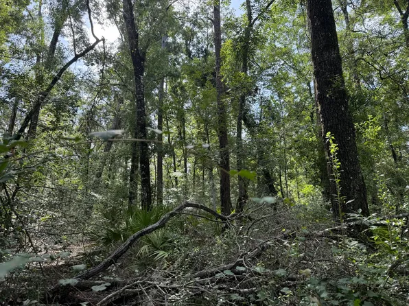 Tbd Running Springs Drive, Live Oak, FL 32060