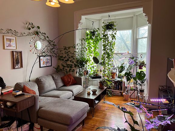 3rd image of 568 Madison Ave APT 2
