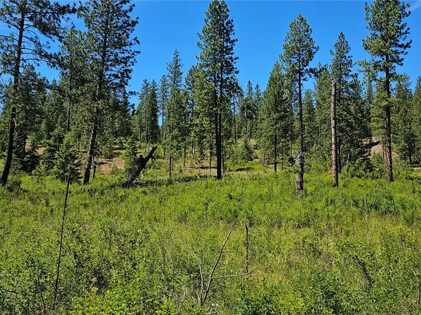 20 X Lynx Road, Inchelium, WA 99138