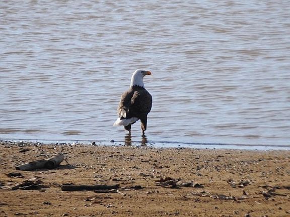 2nd image of 1792 Sailing Club Rd