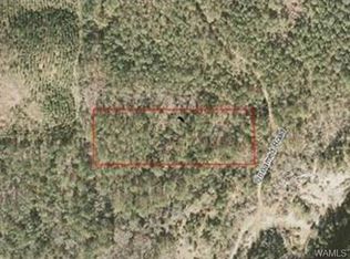 270/300 County Road 479, Vincent, AL 35178
