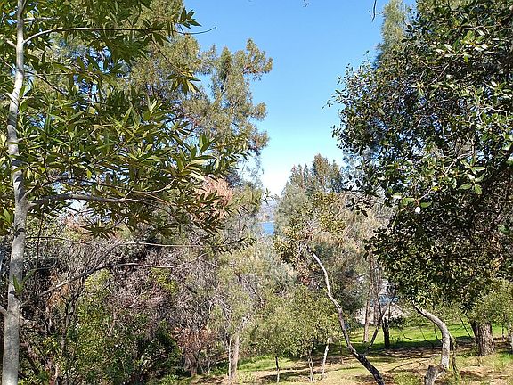 Toyon, Bay, Walnut, Manzanit