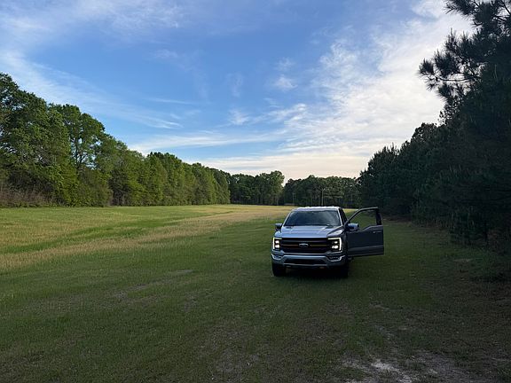 3rd image of 29.47 Acre Hwy #13