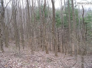 Lot 61 Forest Hill Drive, Sparta, NC 28675