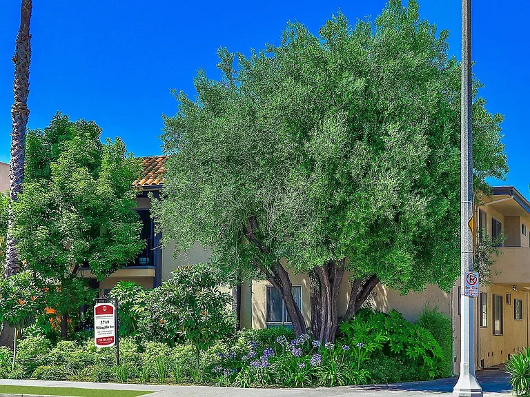 3749 McLaughlin Ave. — Photo 16