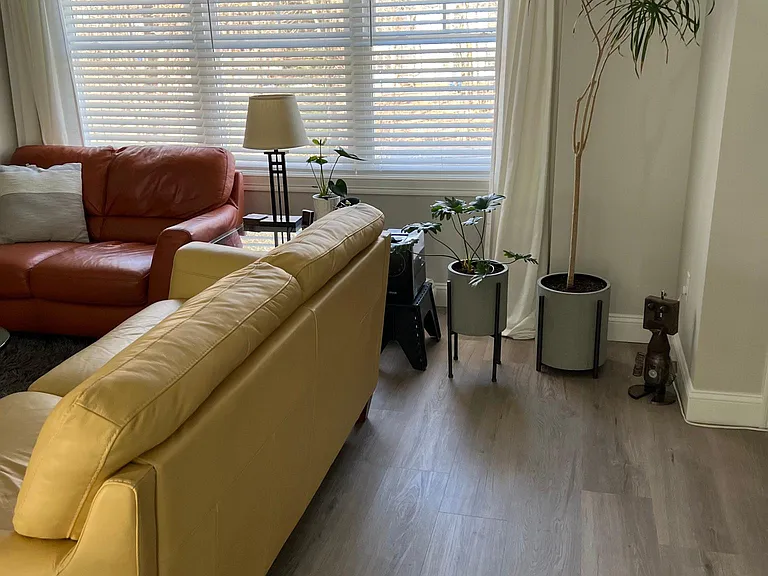 871 Elm St — Photo 18