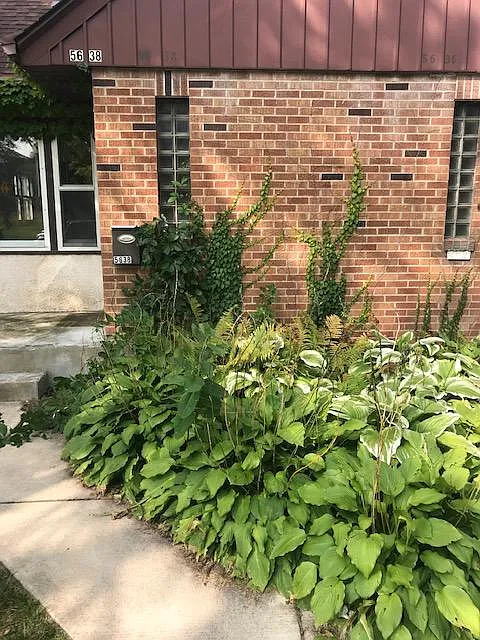 3 bed, 1.5 bath, 2200 sqft, $2,100 — Photo 4
