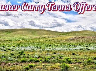 1238 Chicha Rd, Hartsel, CO 80449