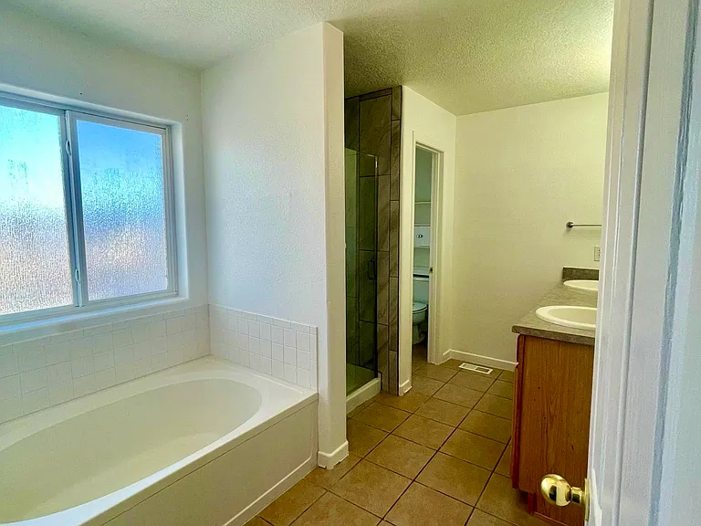 Master bathroom