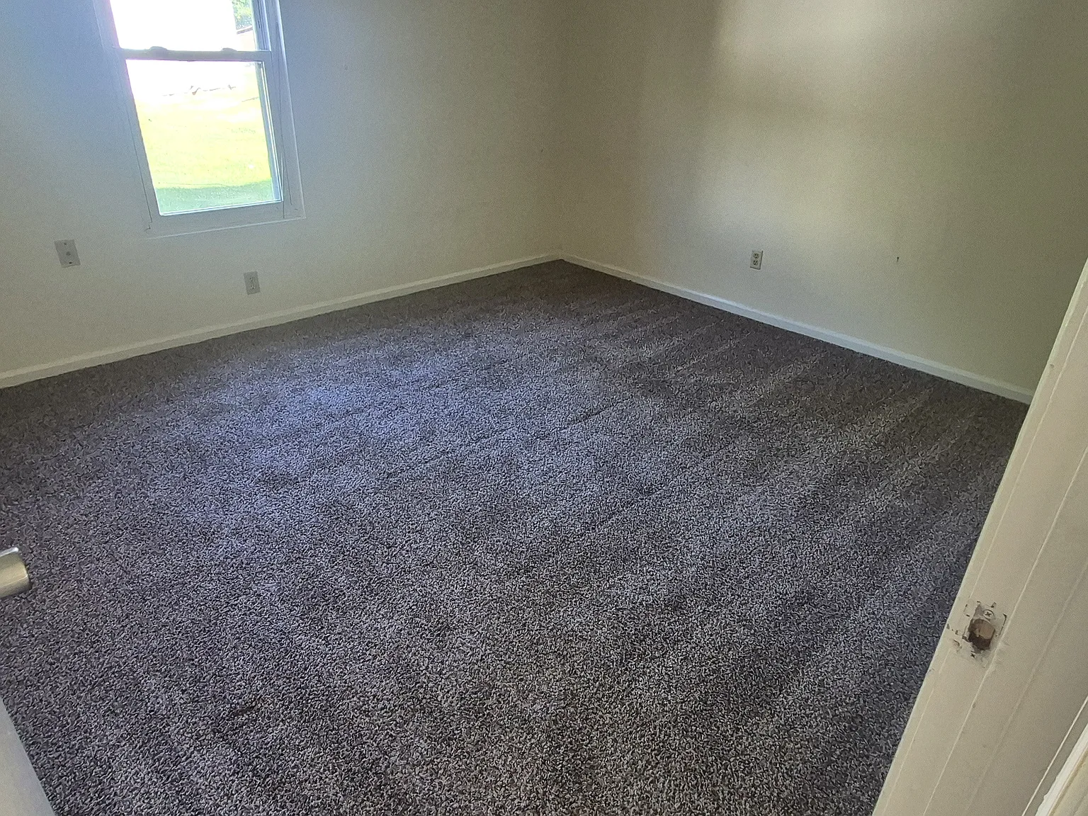 381 Shelby Avenue — Photo 4