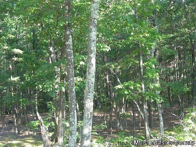 2nd image of 121 Rock Ledge Ln