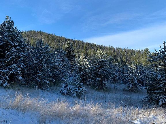 4th image of Horned Owl Ln