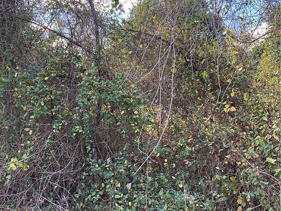 2nd image of Meadow Lake Dr