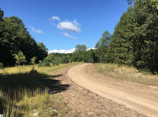 Black Walnut Ln, Kalkaska, MI 49646