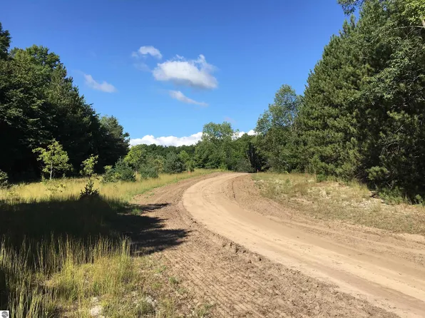 Black Walnut Ln, Kalkaska, MI 49646