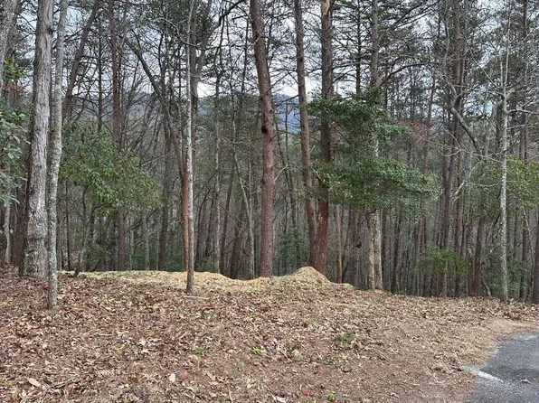 LOT 115 Asheland Cove Dr, Young Harris, GA 30582