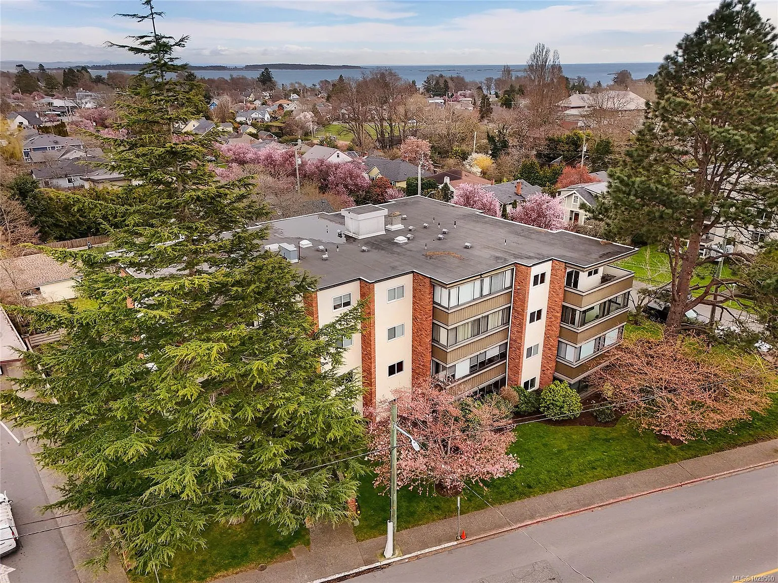 2535 Cadboro Bay Rd #401-OAK photo 1