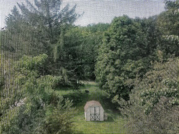 View of shed/yard from l.r. 