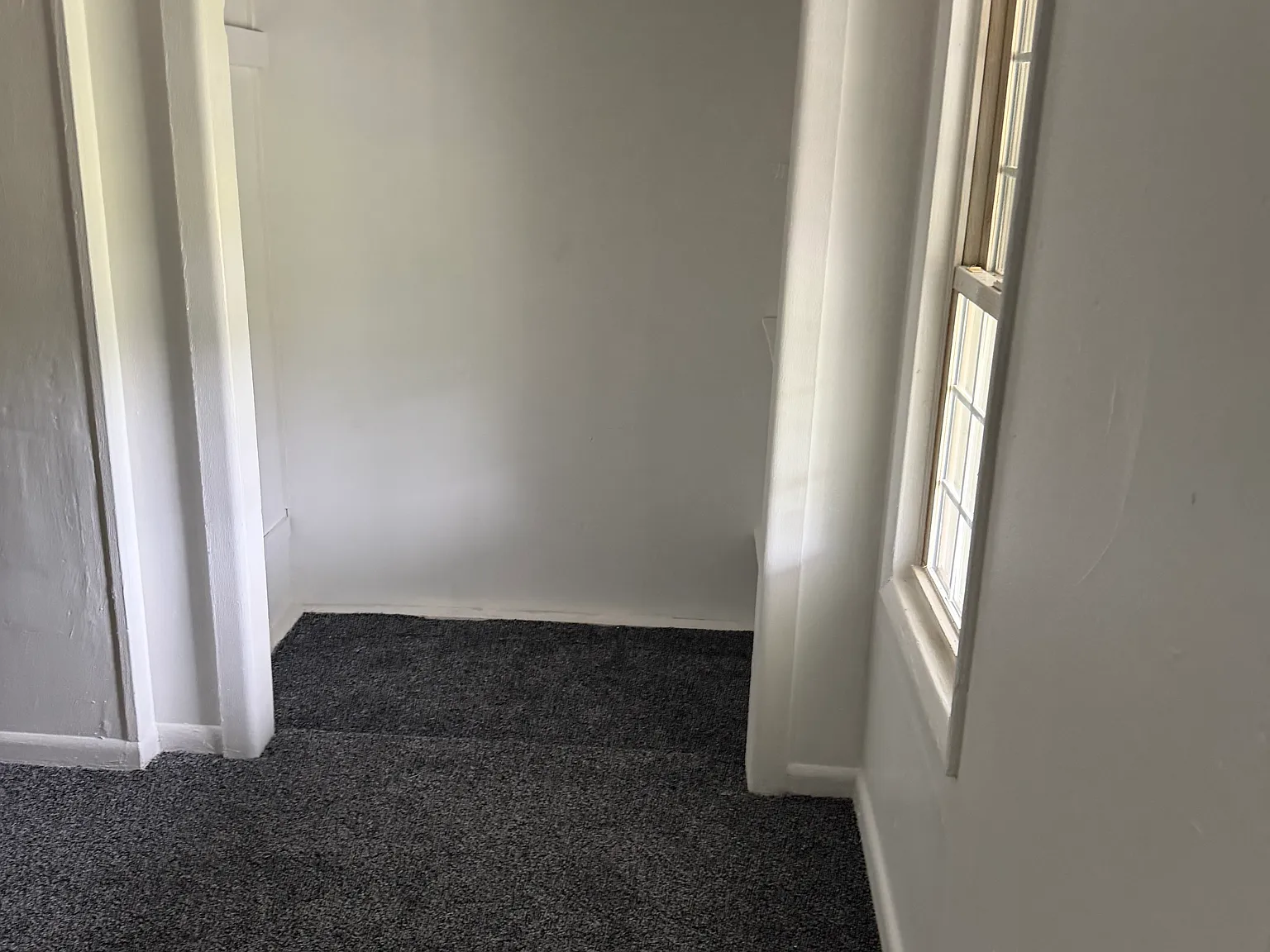 1 bed, $1,200 — Photo 3