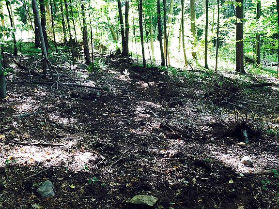 2nd image of Lot # 31 Long Mountain Road