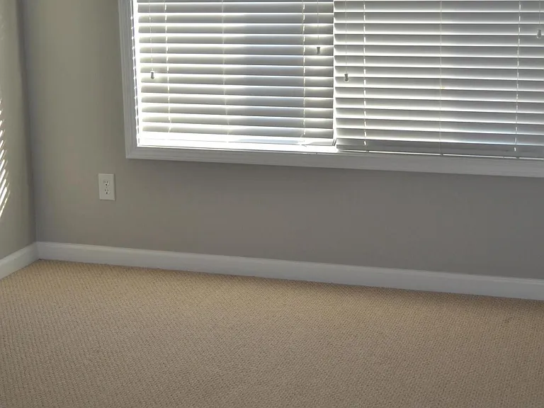 285 Snowgoose Ct — Photo 21