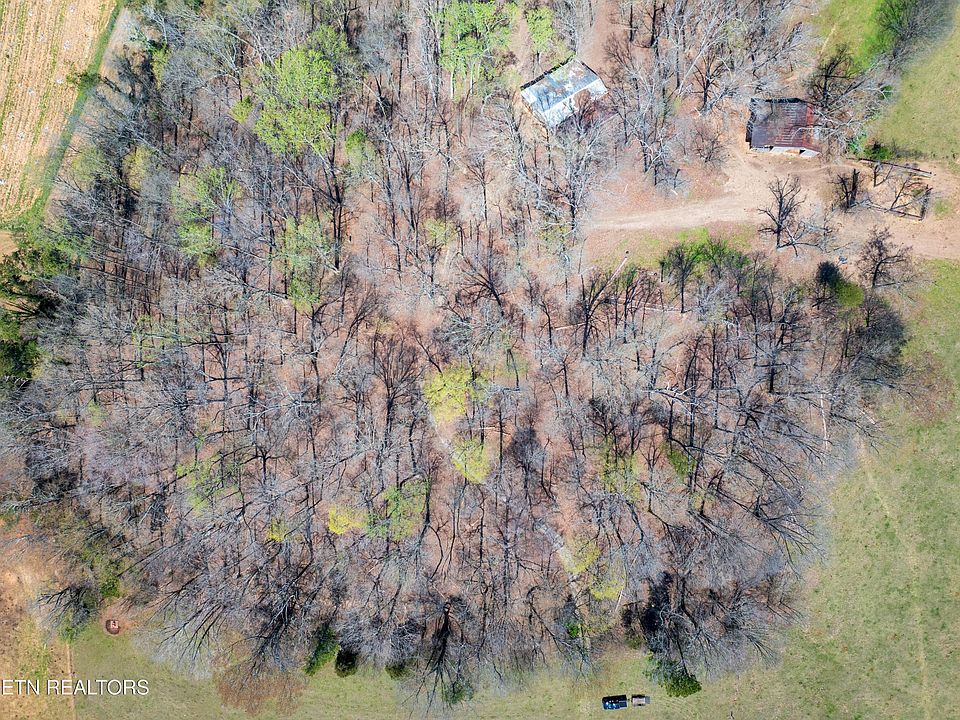 2nd image of 1404 Trigonia Rd