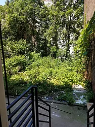 Rented by Nest Seekers International