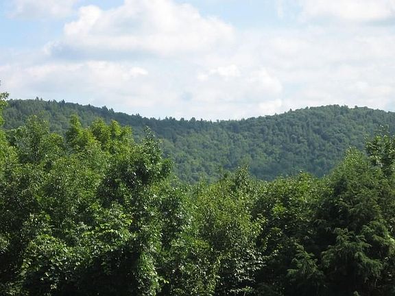 Pierce Lane Lacko 019