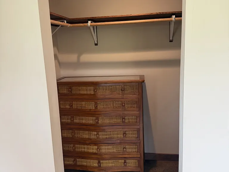 Master Walk-in Closet