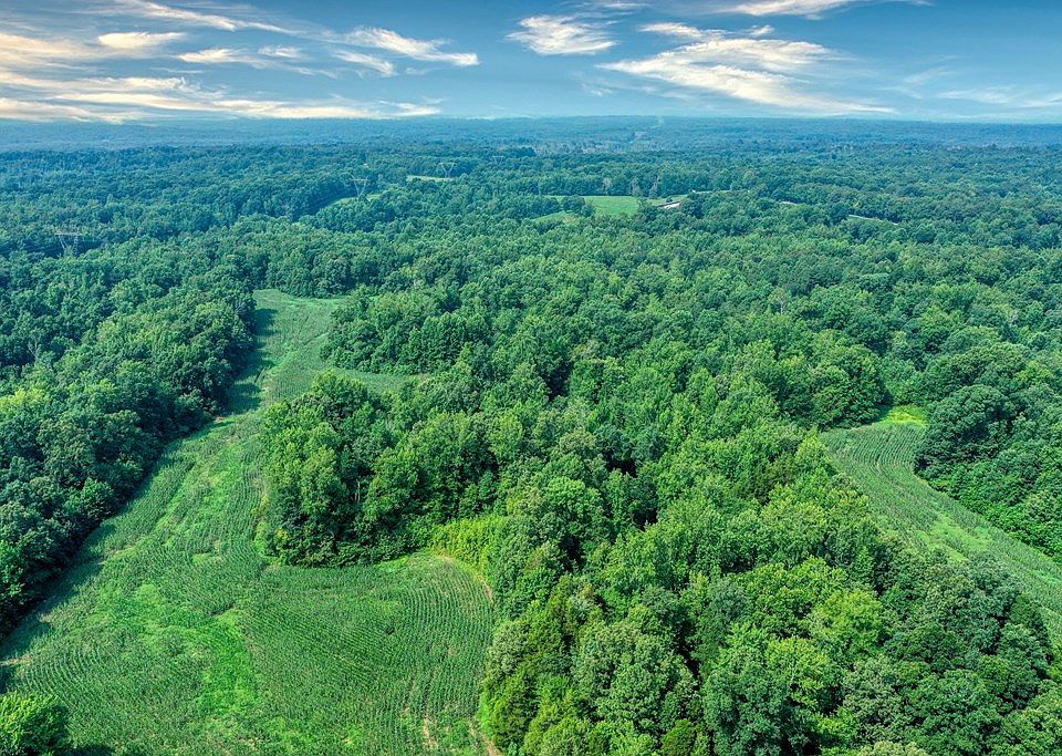 0 Highway 104 N, Cedar Grove, TN 38321 Zillow