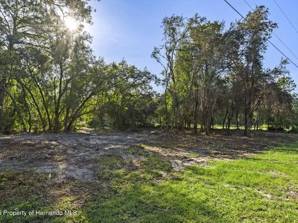 6669 W Cardinal St, Homosassa, FL 34446