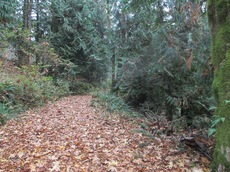 1st image of 31 N Canvasback Pl
