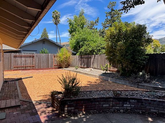 Low Maintenance back yard