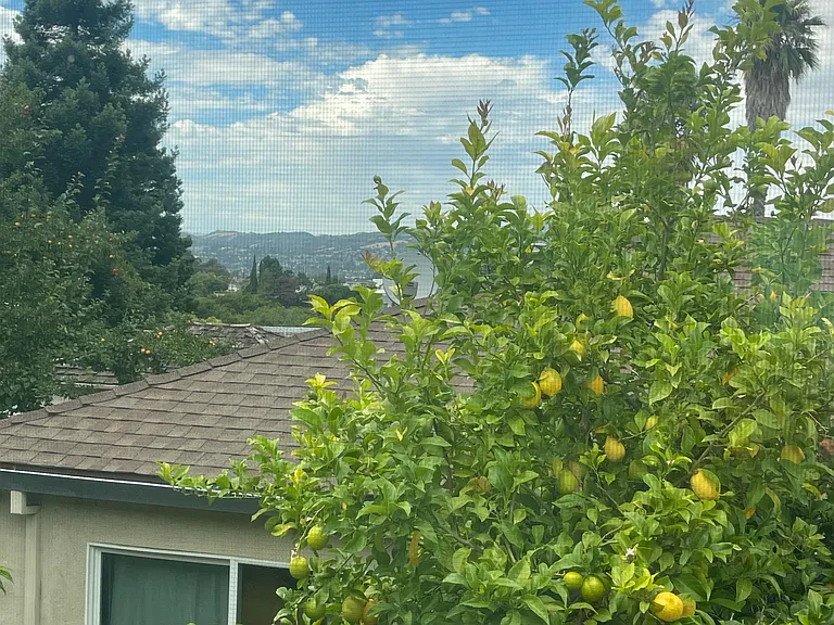 25378 Morse Ct — Photo 12