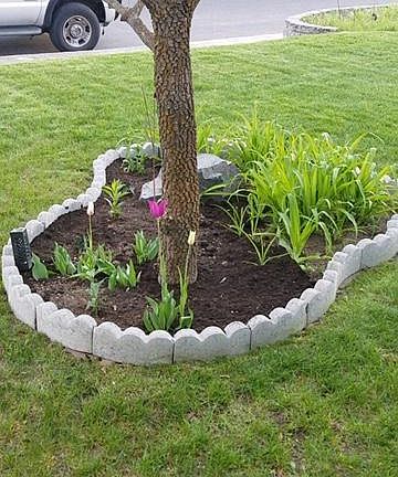 Beautiful dogwood tree in front.
