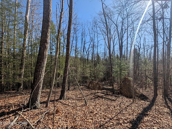 5th image of N Fork Dr