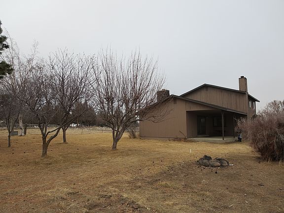 fruit trees, back yard