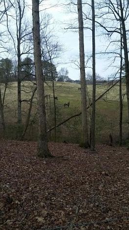 1st image of 5881 Reinhardt College Pkwy