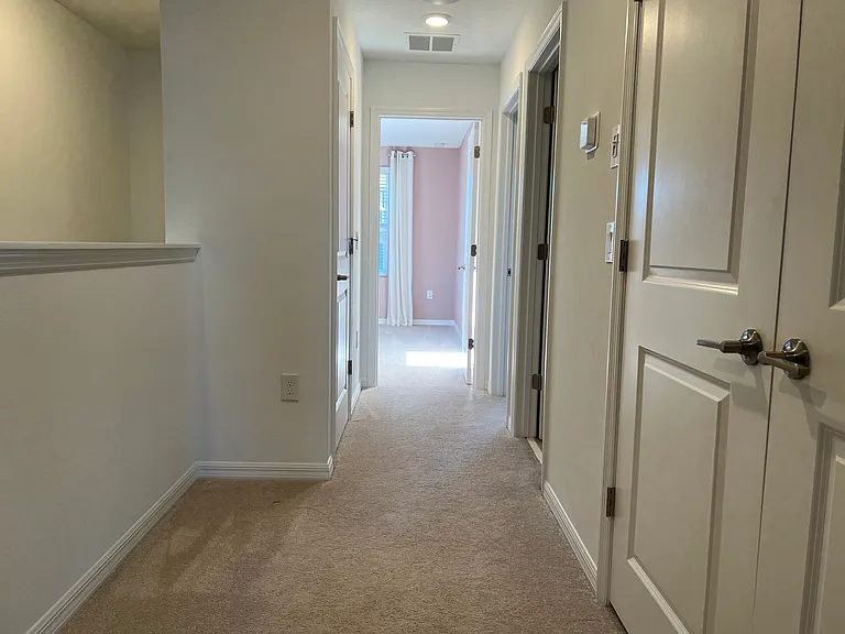 3667 Circle Hook St — Photo 17