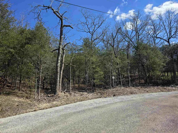 L1-B11 Pahokee Dr, Cherokee Village, AR 72529