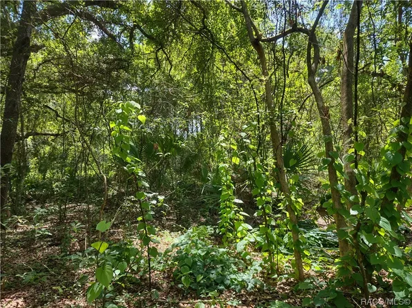 0 SE 140th Ter, Ocklawaha, FL 32179