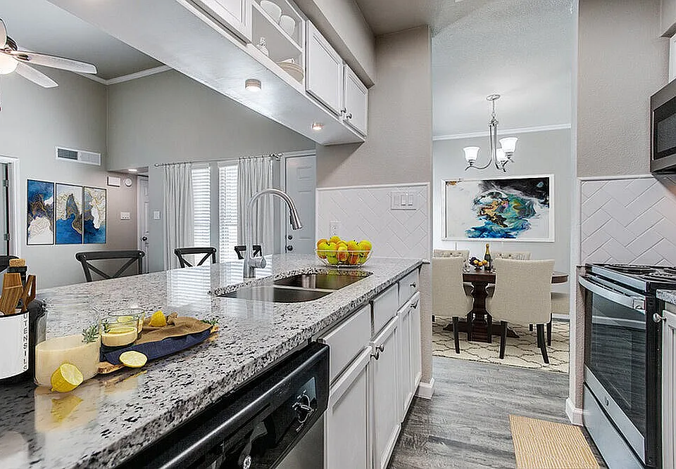 Modern Apartment Kitchen