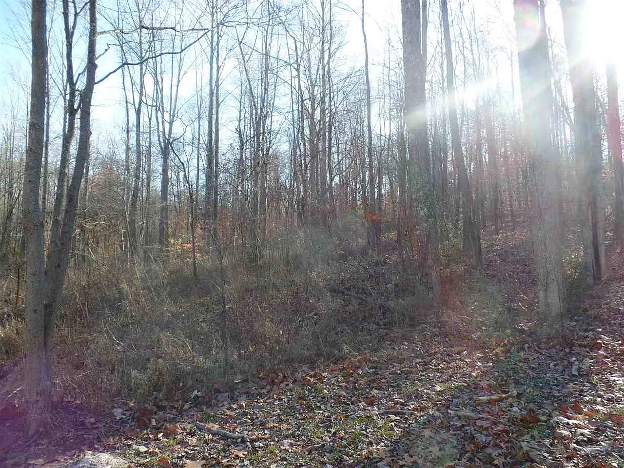 10122 E Dobson Rd photo 1