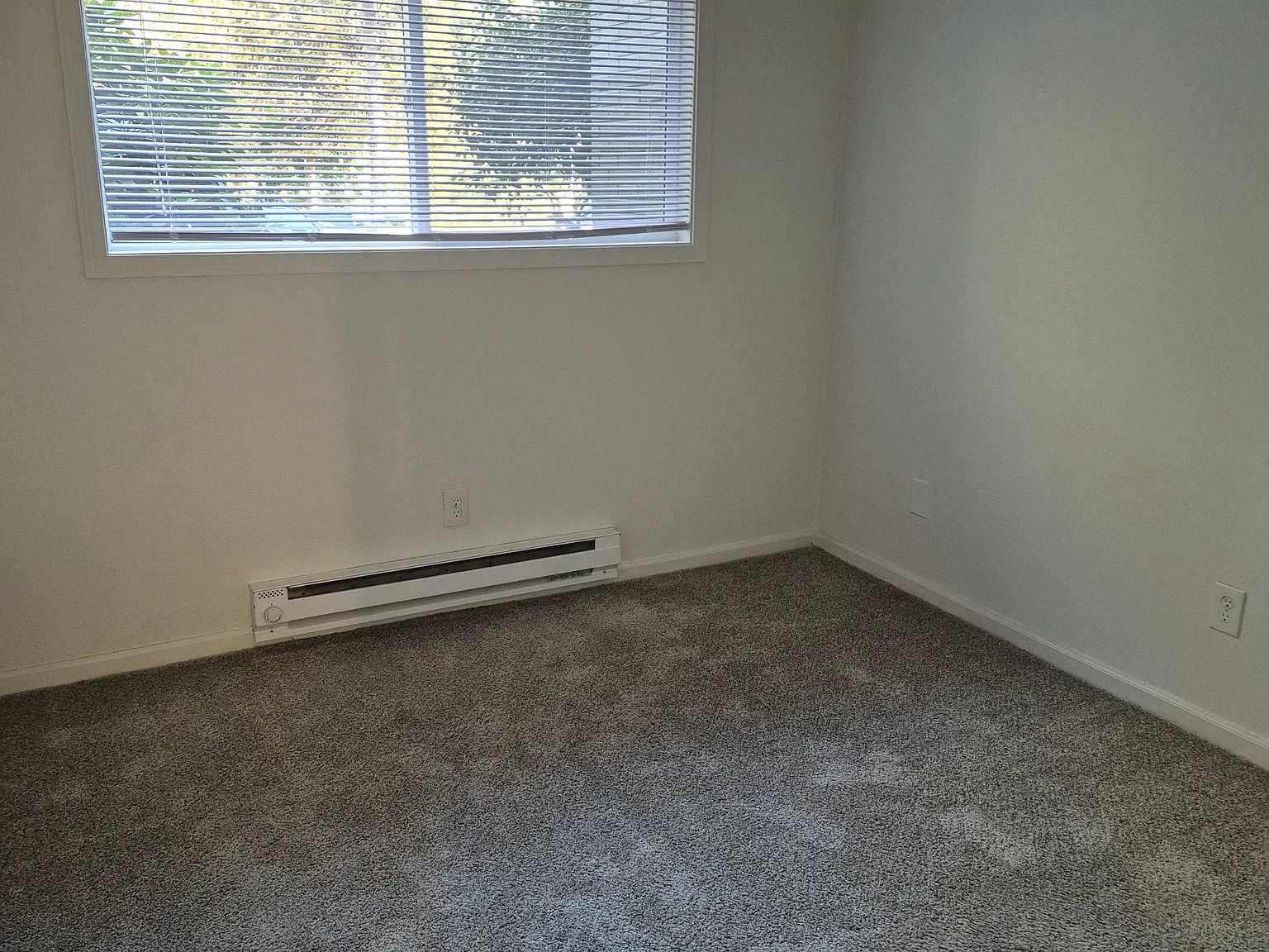 2 bed, 800 sqft, $1,425 — Photo 3