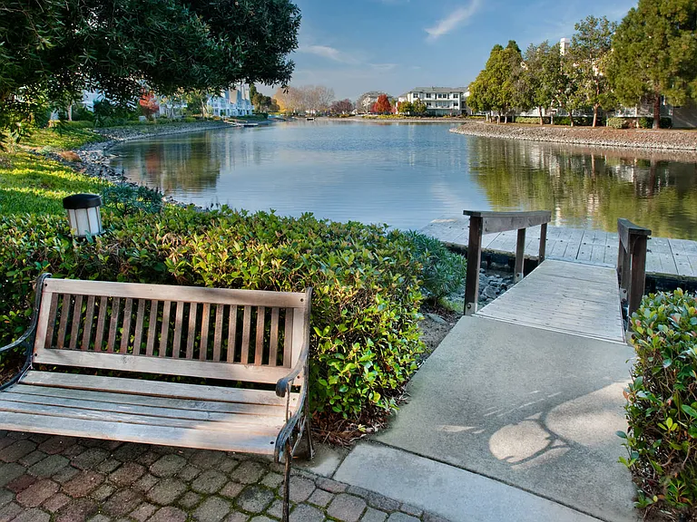 Pond with Sitting Area