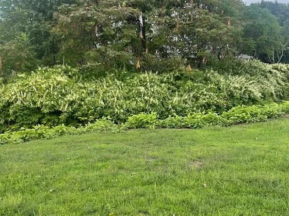 357 2nd St, Archbald, PA 18403