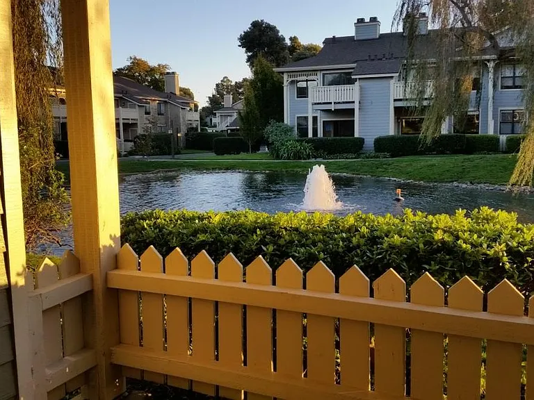 Patio View