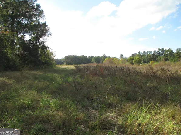 146 Kirkland Still Rd, Hazlehurst, GA 31539