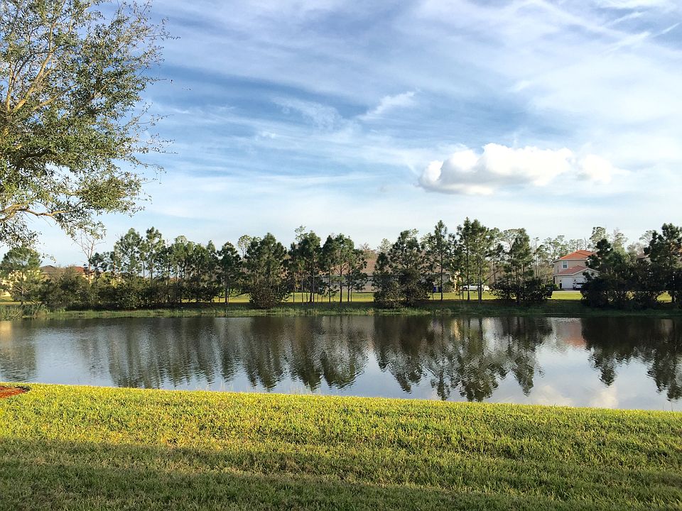 Lake view