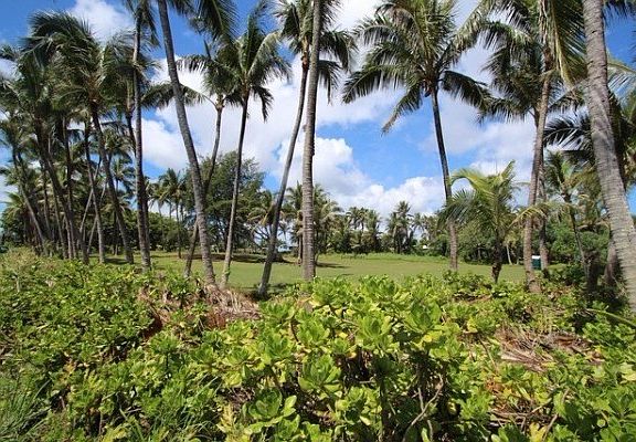 4th image of Opihi St Lot 3